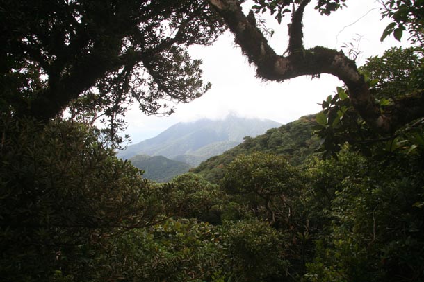 Looking out through a narrow gap on forested mountain trail (Volcan Cacao) at more forest and in the distance another volcano (Orosi)