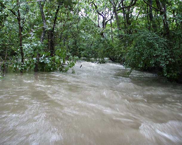 Same site as previous photo now completely flooded with milky water