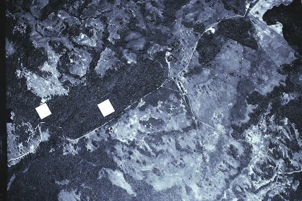 Black and white aerial photo showing locations and size of the two mouse plots.