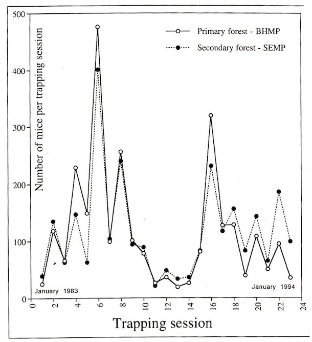 Line graph showing mouse populations going up and down over time.