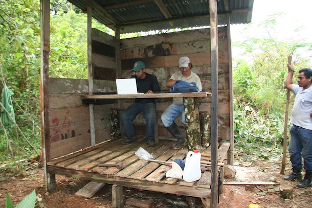 Three parataxonomists and a laptop computer in the small wooden shelter they have just built for rain-free internet access.