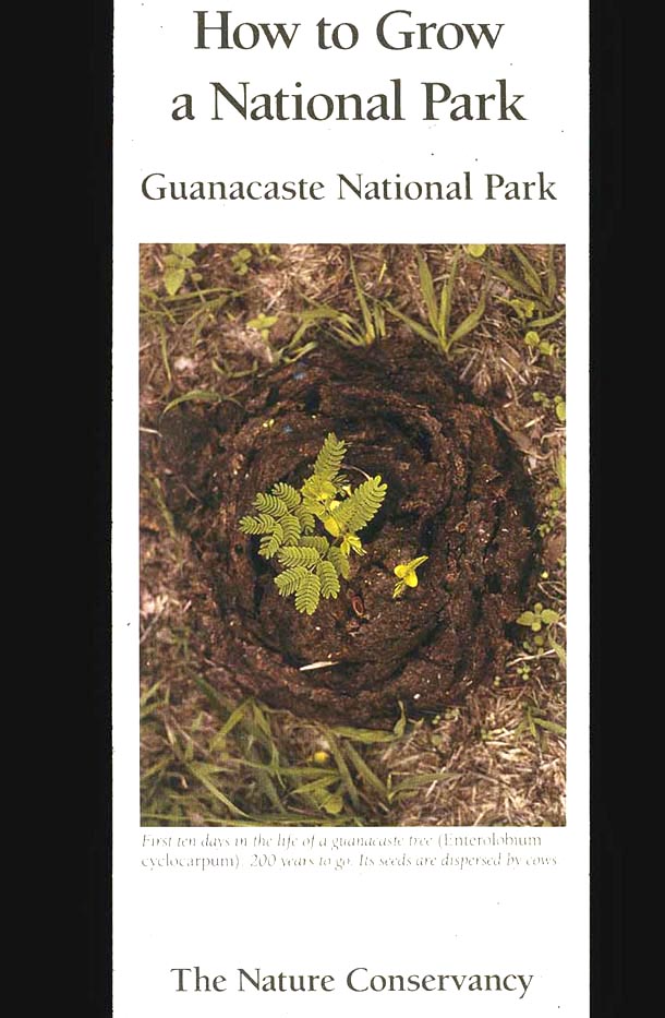 Brochure cover with photo of germinating guanacaste seedlings in a cow pie
