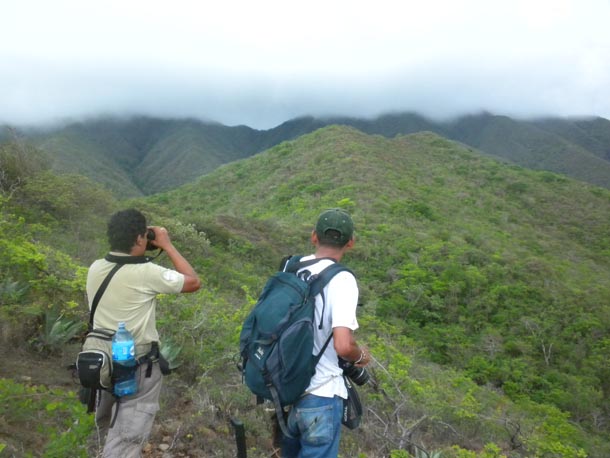 Somewhat dirty and tired botanists looking out over forested hills in wilderness