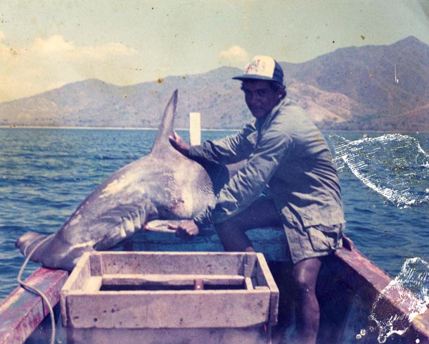 Freshly caught hammerhead shark on small fishing boat with Osvaldo Espinoza (now a parataxonomist), 1980's