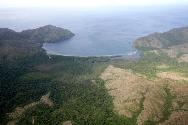 Mangroves behind the beach on Santa Elena Peninsula, river mouth