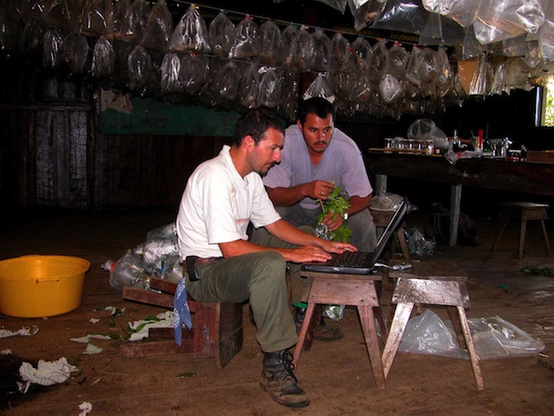 2 young men and a computer working at station Cacao. Behind them hang many clear plastic bags of caterpillars and pupae.